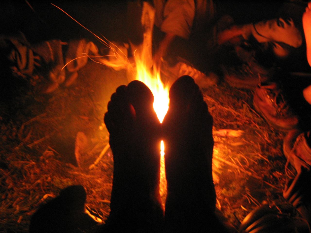 Who Is Holding Your Feet To The Fire Mark Donovan And Associates Ltd